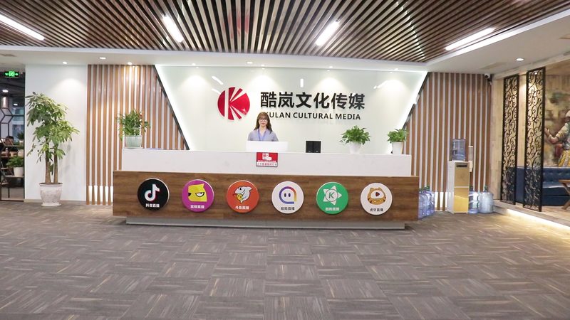 行业背景：新能源汽车的崛起与公关传播的挑战