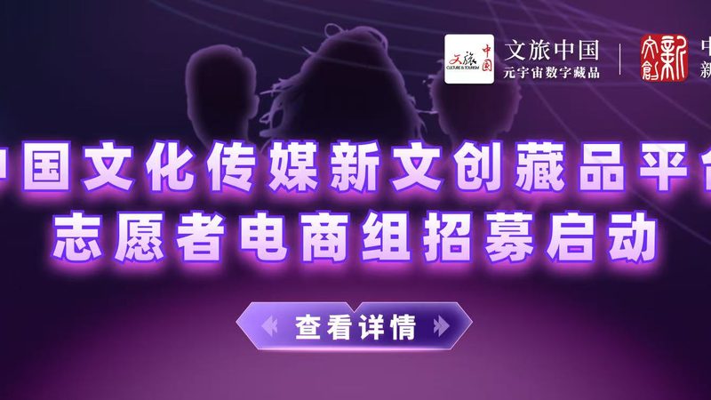 短视频代运营团队：构建高效内容矩阵的关键岗位